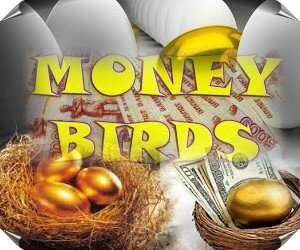 Money Birds - ферма птичек для заработка на яйцах