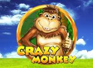 Пін Ап Crazy Monkey: легендарные Обезьянки в онлайн казино ПинАп